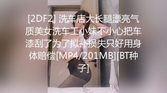 [2DF2] 洗车店大长腿漂亮气质美女洗车工小妹不小心把车漆刮了为了拟补损失只好用身体赔偿[MP4/201MB][BT种子]