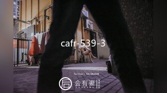 cafr-539-3