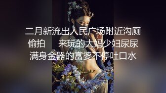 (哈尔滨）帝都17先生后入小母狗