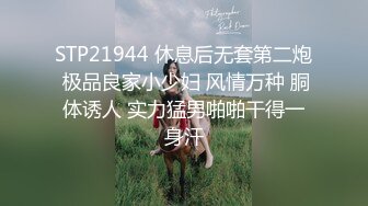 麻豆传媒 MCY0110 黑丝收藏家的秘密交易 夏禹熙