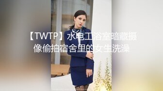 【自整理】超级BBW重型虎式坦克，堂里的老司机们，快过来试试手感如何！【NV】 (40)