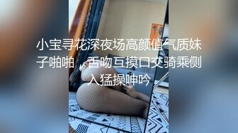 小宝寻花深夜场高颜值气质妹子啪啪，舌吻互摸口交骑乘侧入猛操呻吟