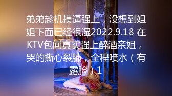 弟弟趁机摸逼强上，没想到姐姐下面已经很湿2022.9.18 在KTV包间真实强上醉酒亲姐，哭的撕心裂肺，全程喷水（有露脸）1