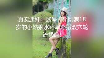 探花沈先生爆操情趣黑丝外围女