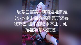 糖心Vlog 肉丝长腿女模下海记 淑怡