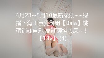 女忍1：破碎的公主,[中文字幕],Studio,Flow,-