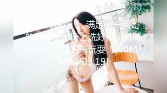 小宝寻花艺术系小姐姐