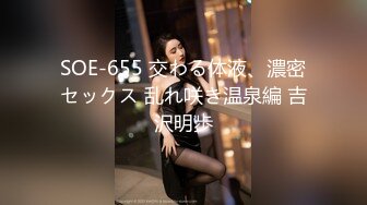 SOE-655 交わる体液、濃密セックス 乱れ咲き温泉編 吉沢明歩