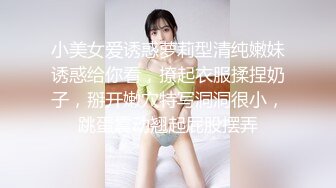 MD-0336爆乳候选人政见发表会