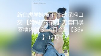 MD-0101 雪千夏 国风旗袍 旗袍诱惑情欲交织 麻豆传媒映画