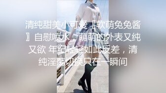 高清私拍情趣丝袜之小女友