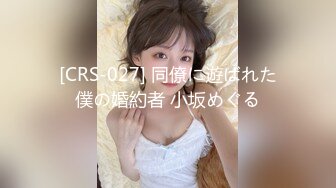 [CRS-027] 同僚に遊ばれた僕の婚約者 小坂めぐる