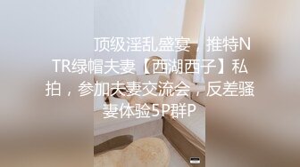 奔馳哥的迷人母狗小情婦，舔狗壹樣，坐在副駕駛伸進短裙裏扣茓108P+3V