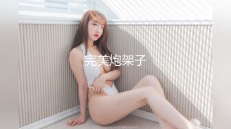 完美炮架子