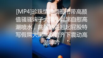 [MP4]性感大奶子美女模特在阳光明媚风景宜人的海边别墅被大肉棒抽插