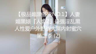 蓝色女仆装女友上线