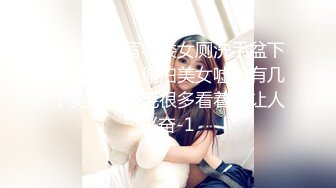 Onlyfans 极品网红小姐姐 桥本香菜 《酒吧》来酒吧寻开心的美少妇