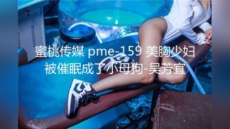 蜜桃传媒 pme-159 美胸少妇被催眠成了小母狗-吴芳宜