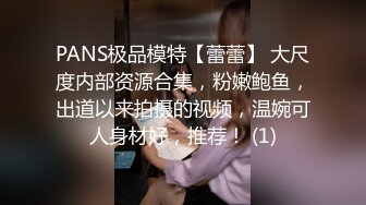 PANS极品模特【蕾蕾】 大尺度内部资源合集，粉嫩鲍鱼，出道以来拍摄的视频，温婉可人身材好，推荐！ (1)