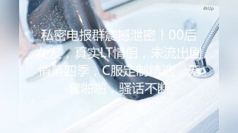 丰满粉丝续