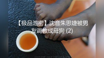 极品身材完美车模女神【狐狸小妖】首次大尺度私拍流出