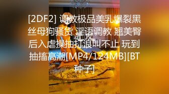 [2DF2] 调教极品美乳爆裂黑丝母狗骚货 淫语调教 翘美臀后入虐操抽打浪叫不止 玩到抽搐高潮[MP4/124MB][BT种子]