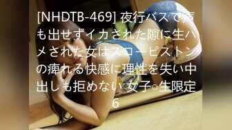 [NHDTB-469] 夜行バスで声も出せずイカされた隙に生ハメされた女はスローピストンの痺れる快感に理性を失い中出しも拒めない 女子○生限定6