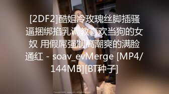 [2DF2]酷姐冷玫瑰丝脚插骚逼捆绑掐乳调教喜欢当狗的女奴 用假屌强制高潮爽的满脸通红 - soav_evMerge [MP4/144MB][BT种子]