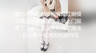 东京湾恋人91特派员和岛国美女双十一之恋