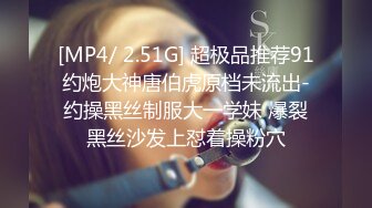 【PM041】淫乱圣诞趴