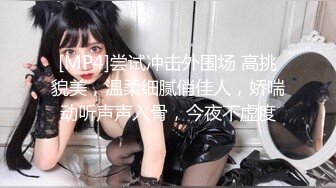 扒开双腿玩弄的小恶魔痴女Heydouga 4030-PPV2456